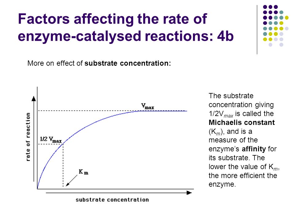 Factors affecting the rate of enzyme activity